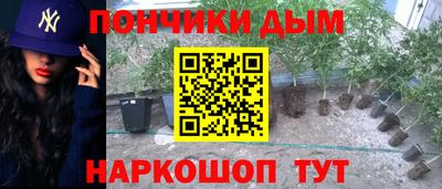 гидропоника Гусиноозёрск