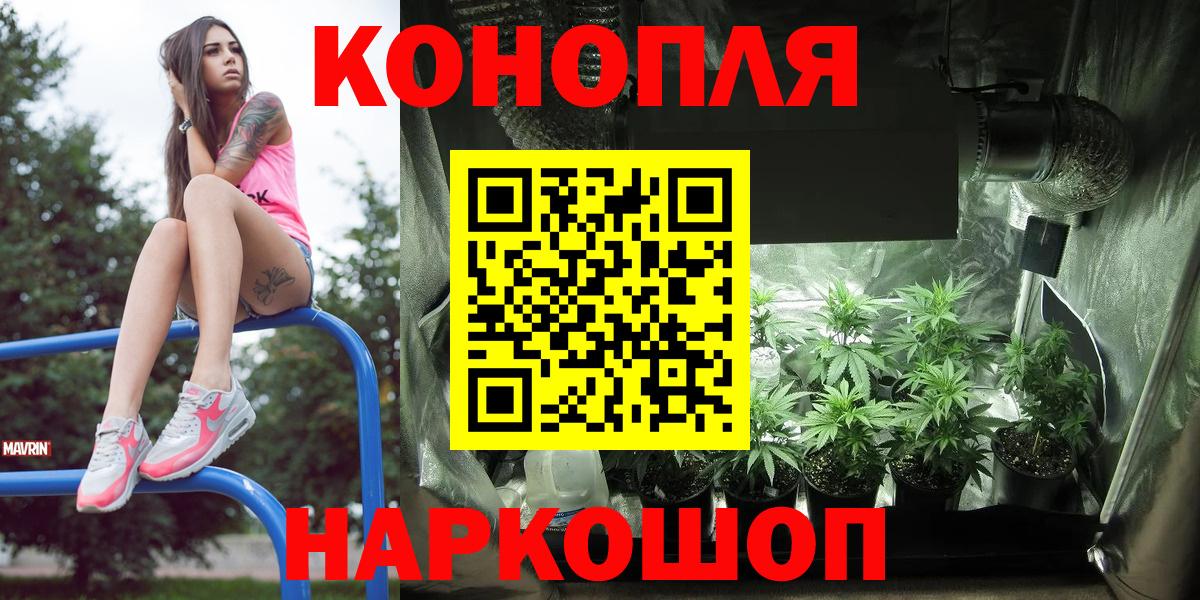 Шишки марихуана семена  Бошки марихуана сатива  Орёл  Канабис семена  Вход с VPN 